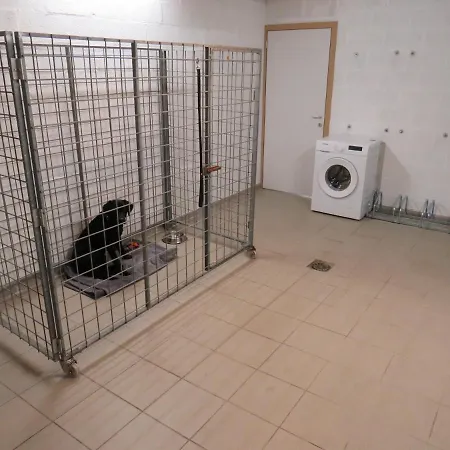 Oxygen House, Long Weekend Special Овифа