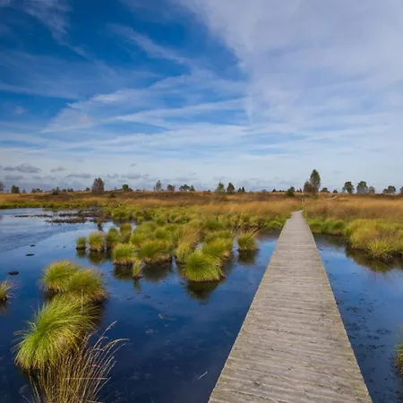 Oxygen House, Long Weekend Special