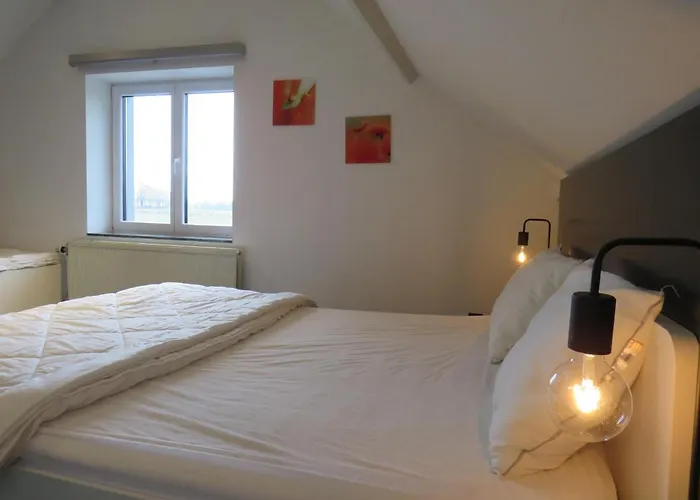 Oxygen House, Long Weekend Special * Овифа